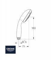 GROHE NEW TEMPESTA 100 TELEDUCHA MEDIDAS